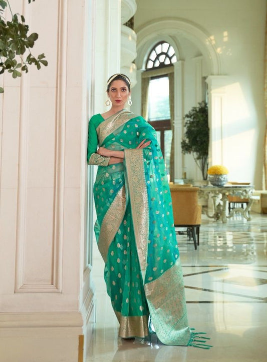 Sheer Turquoise Organza Silk Saree