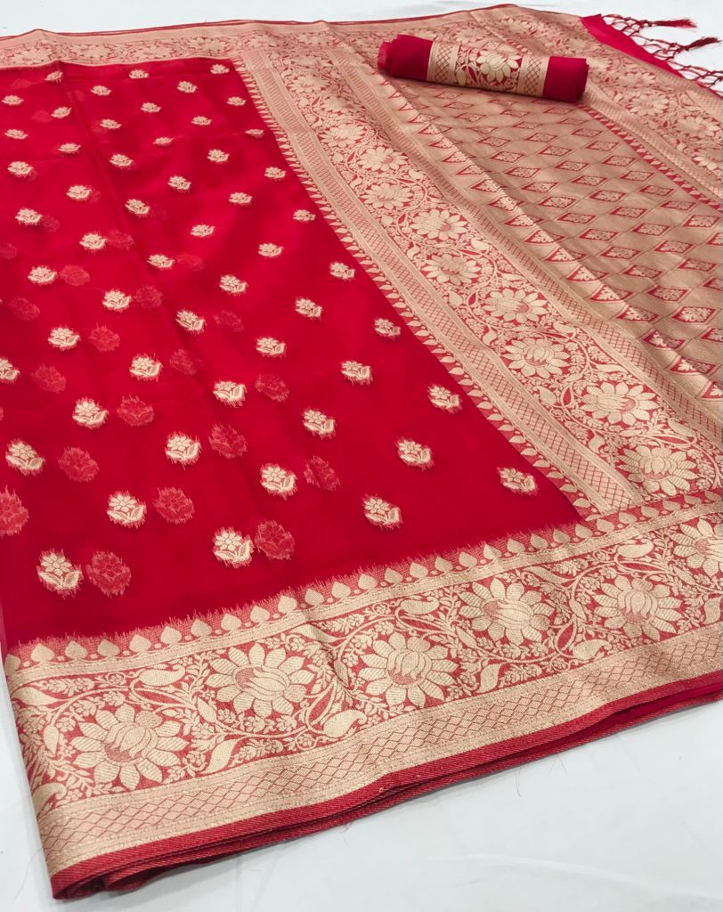 Tourmaline Red Organza Silk Saree