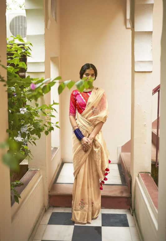 Pale Brown Embroidered Organza Silk Saree