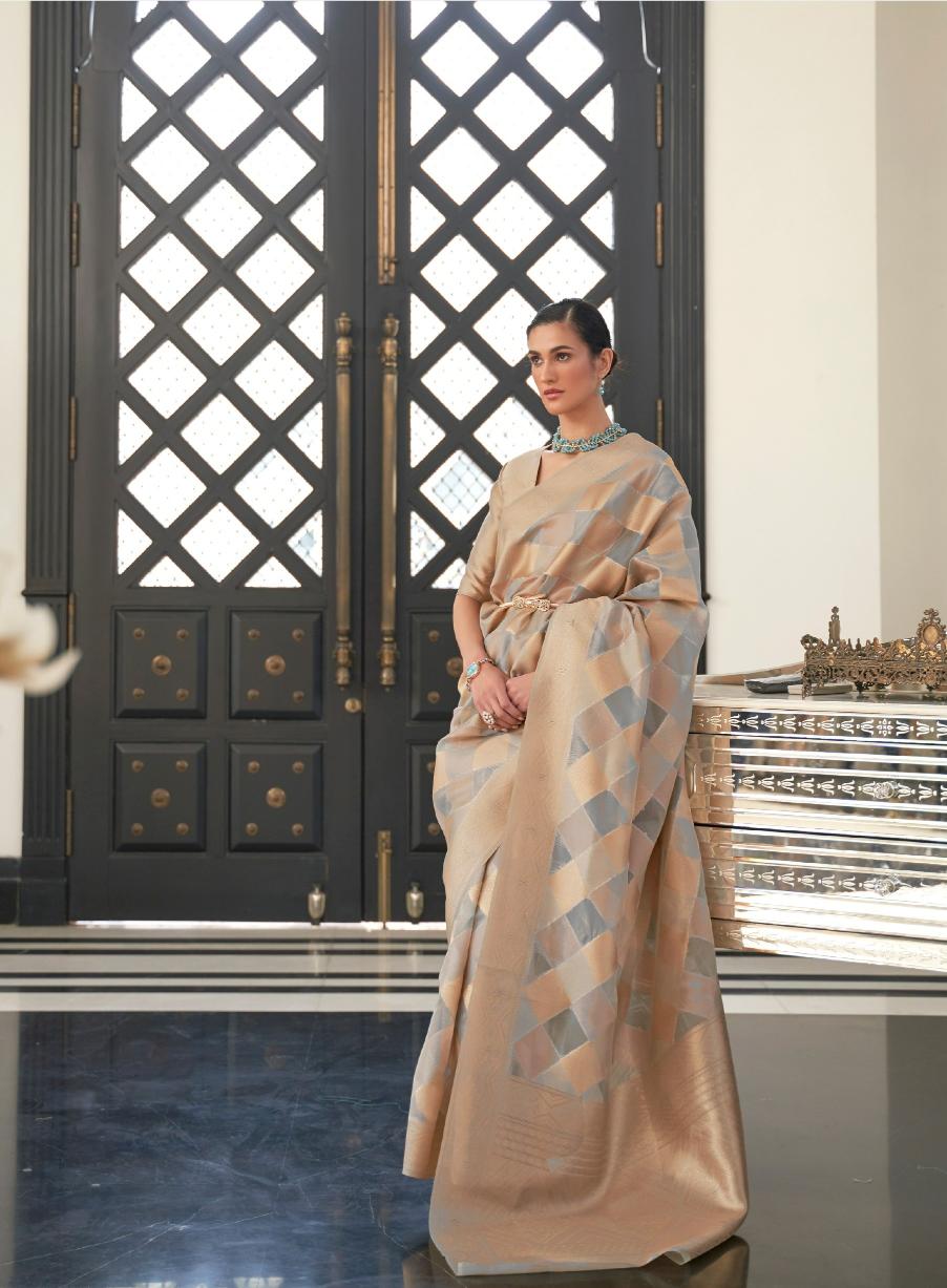 Cloud Grey Striped Organza Silk Saree