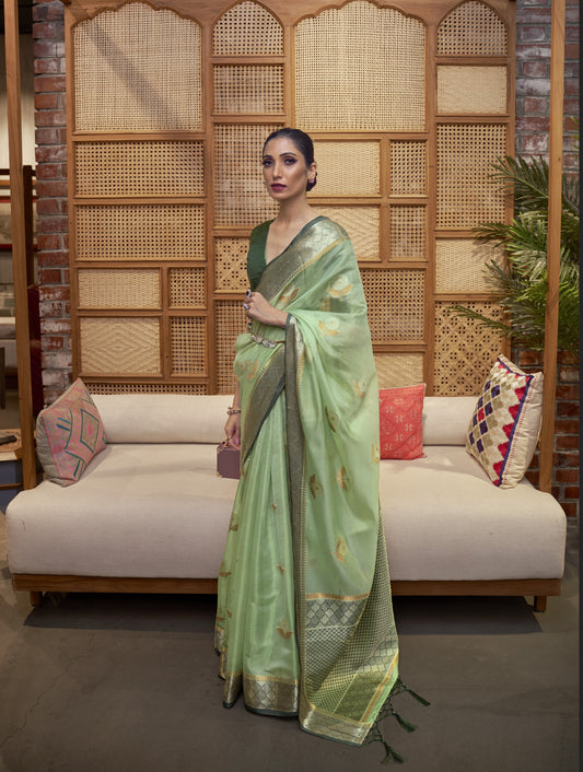 Summer Green Organza Silk Saree