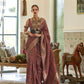 Coffee Brown Abstract Pattern Organza Handloom Silk Saree